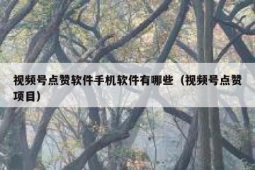 视频号点赞软件手机软件有哪些（视频号点赞项目）