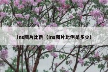 ins图片比例（ins图片比例是多少）