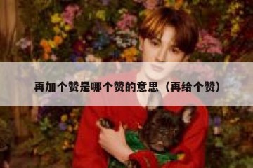 再加个赞是哪个赞的意思（再给个赞）