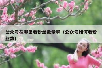 公众号在哪里看粉丝数量啊（公众号如何看粉丝数）