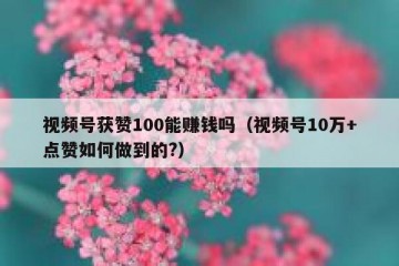 视频号获赞100能赚钱吗（视频号10万+点赞如何做到的?）