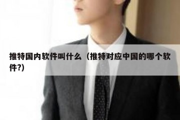 推特国内软件叫什么（推特对应中国的哪个软件?）