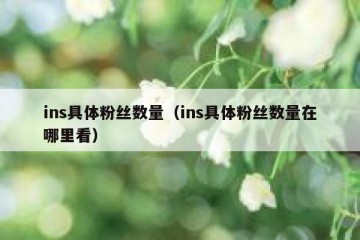 ins具体粉丝数量（ins具体粉丝数量在哪里看）