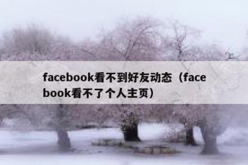 facebook看不到好友动态（facebook看不了个人主页）