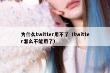 为什么twitter用不了（twitter怎么不能用了）