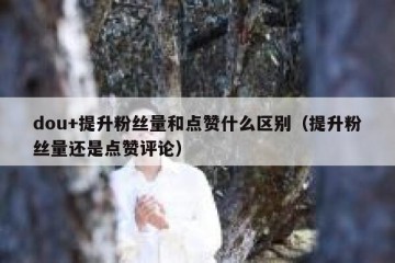 dou+提升粉丝量和点赞什么区别（提升粉丝量还是点赞评论）