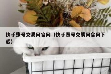 快手账号交易网官网（快手账号交易网官网下载）