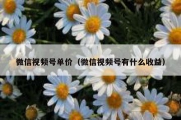 微信视频号单价（微信视频号有什么收益）