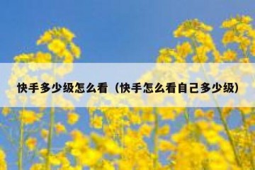 快手多少级怎么看（快手怎么看自己多少级）