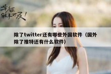 除了twitter还有哪些外国软件（国外除了推特还有什么软件）