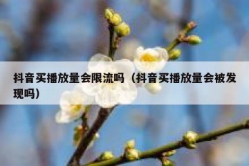 抖音买播放量会限流吗（抖音买播放量会被发现吗）