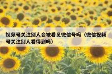 视频号关注别人会被看见微信号吗（微信视频号关注别人看得到吗）