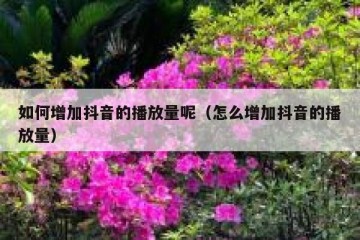 如何增加抖音的播放量呢（怎么增加抖音的播放量）