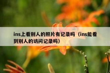 ins上看别人的照片有记录吗（ins能看到别人的访问记录吗）