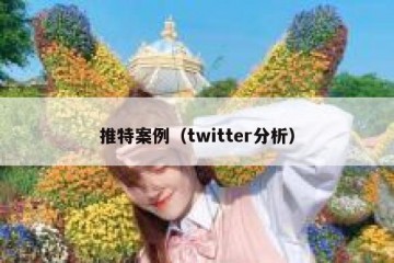 推特案例（twitter分析）