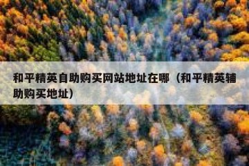 和平精英自助购买网站地址在哪（和平精英辅助购买地址）