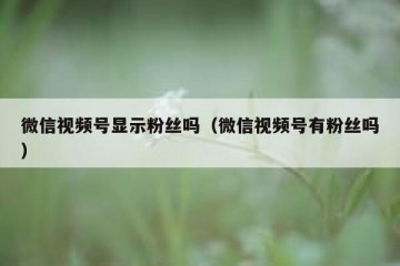 微信视频号显示粉丝吗（微信视频号有粉丝吗）