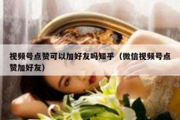 视频号点赞可以加好友吗知乎（微信视频号点赞加好友）