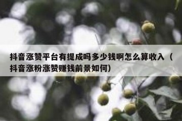 抖音涨赞平台有提成吗多少钱啊怎么算收入（抖音涨粉涨赞赚钱前景如何）