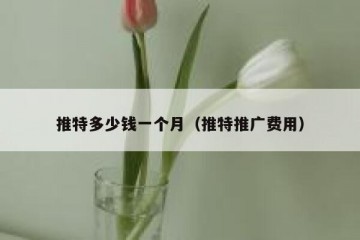 推特多少钱一个月（推特推广费用）