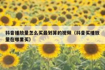 抖音播放量怎么买最划算的视频（抖音买播放量在哪里买）