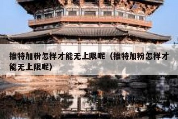 推特加粉怎样才能无上限呢（推特加粉怎样才能无上限呢）