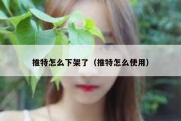 推特怎么下架了（推特怎么使用）