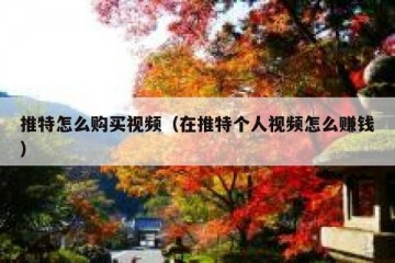 推特怎么购买视频（在推特个人视频怎么赚钱）