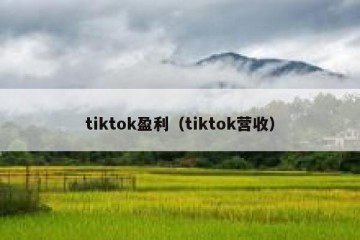 tiktok盈利（tiktok营收）