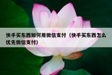 快手买东西如何用微信支付（快手买东西怎么优先微信支付）