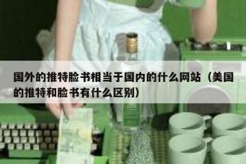 国外的推特脸书相当于国内的什么网站（美国的推特和脸书有什么区别）