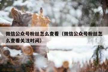 微信公众号粉丝怎么查看（微信公众号粉丝怎么查看关注时间）