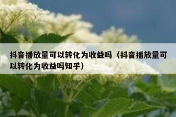 抖音播放量可以转化为收益吗（抖音播放量可以转化为收益吗知乎）