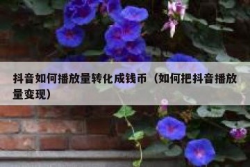 抖音如何播放量转化成钱币（如何把抖音播放量变现）
