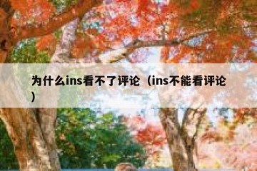 为什么ins看不了评论（ins不能看评论）