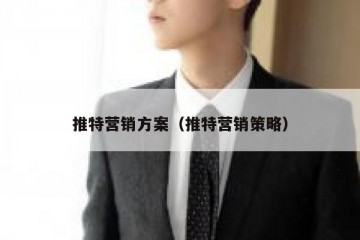 推特营销方案（推特营销策略）