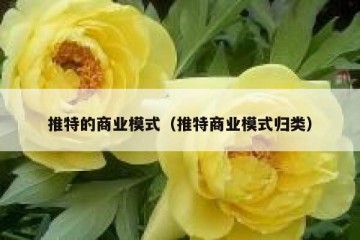 推特的商业模式（推特商业模式归类）