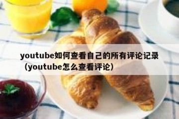 youtube如何查看自己的所有评论记录（youtube怎么查看评论）