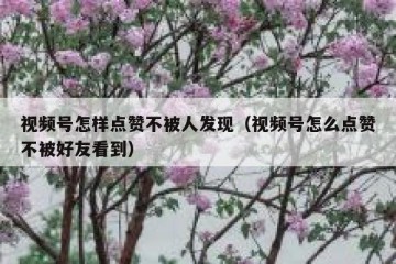 视频号怎样点赞不被人发现（视频号怎么点赞不被好友看到）