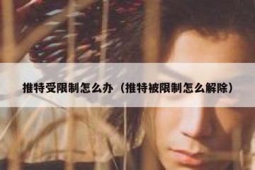 推特受限制怎么办（推特被限制怎么解除）