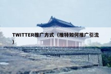 TWITTER推广方式（推特如何推广引流）
