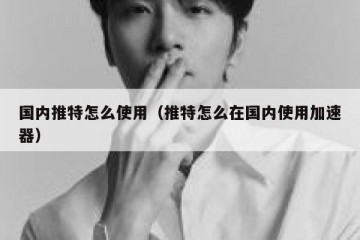 国内推特怎么使用（推特怎么在国内使用加速器）