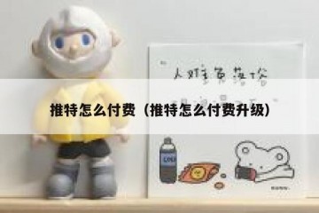 推特怎么付费（推特怎么付费升级）