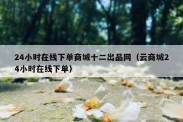 24小时在线下单商城十二出品网（云商城24小时在线下单）