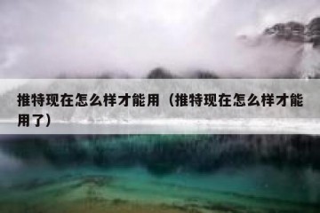推特现在怎么样才能用（推特现在怎么样才能用了）