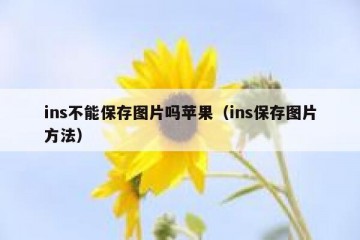 ins不能保存图片吗苹果（ins保存图片方法）