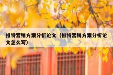 推特营销方案分析论文（推特营销方案分析论文怎么写）