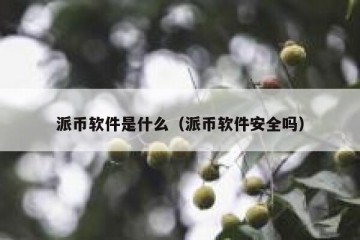 派币软件是什么（派币软件安全吗）