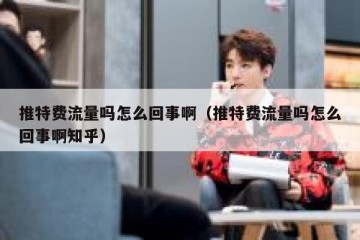 推特费流量吗怎么回事啊（推特费流量吗怎么回事啊知乎）