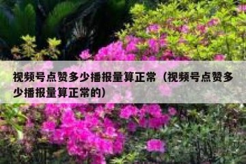 视频号点赞多少播报量算正常（视频号点赞多少播报量算正常的）